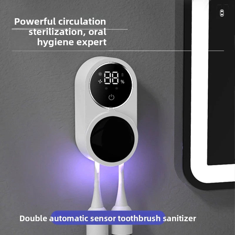 Toothbrush disinfection box